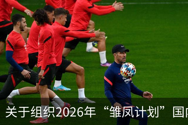关于组织2026年“雏凤计划”国内选拔总营的通知