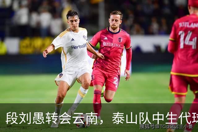 段刘愚转会云南，泰山队中生代球员仅剩5人